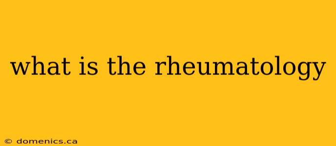 what is the rheumatology