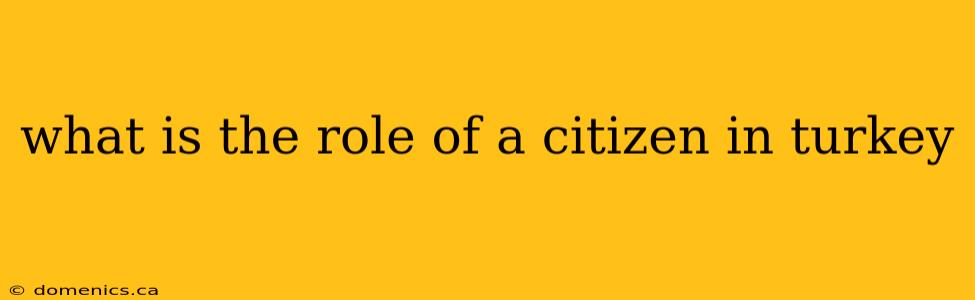 what is the role of a citizen in turkey