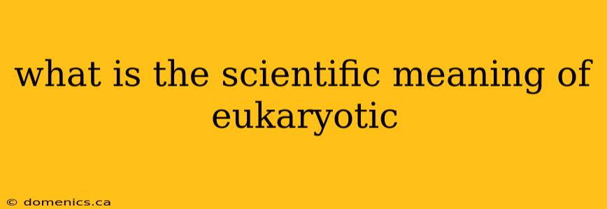 what is the scientific meaning of eukaryotic