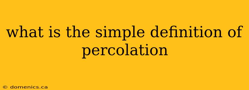 what is the simple definition of percolation