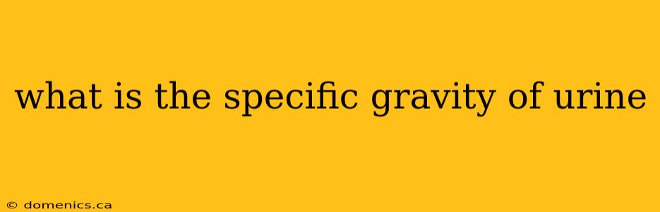 what is the specific gravity of urine