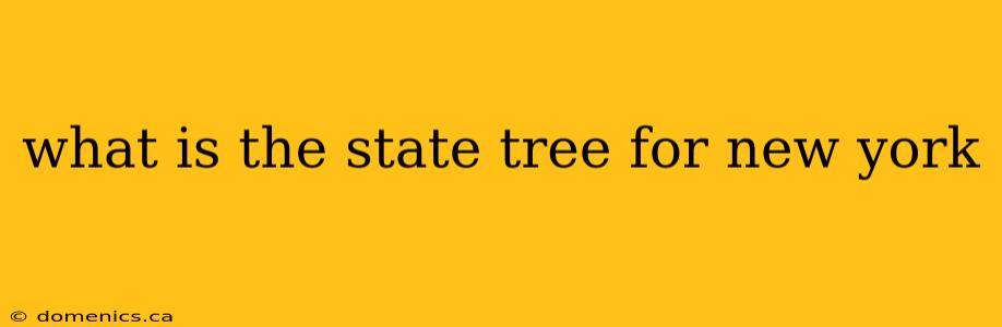 what is the state tree for new york