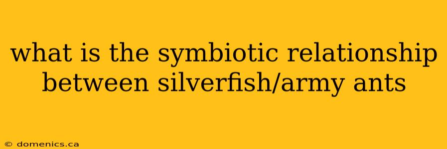 what is the symbiotic relationship between silverfish/army ants