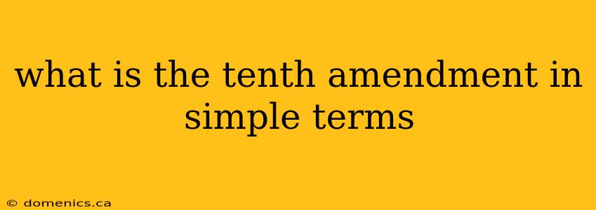 what is the tenth amendment in simple terms