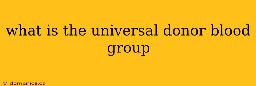 what is the universal donor blood group