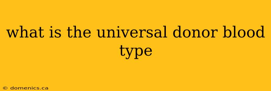 what is the universal donor blood type