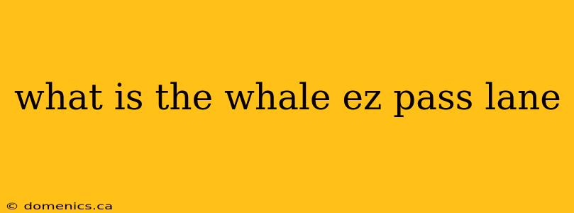 what is the whale ez pass lane