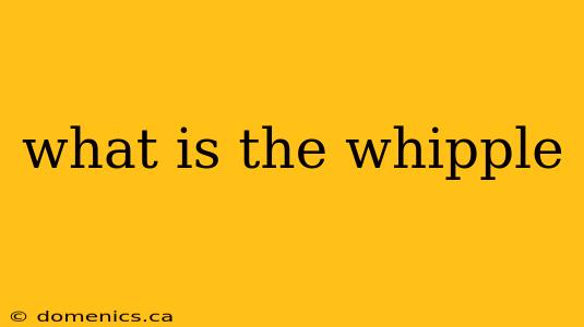 what is the whipple