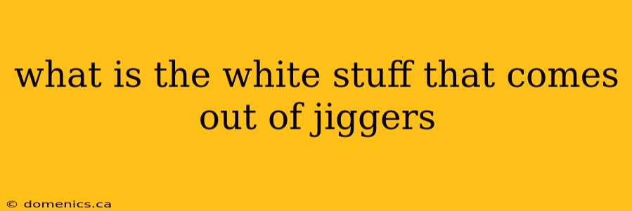 what is the white stuff that comes out of jiggers