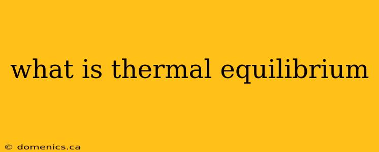 what is thermal equilibrium