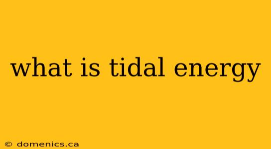 what is tidal energy