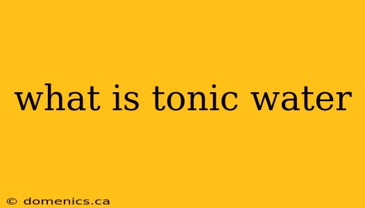 what is tonic water