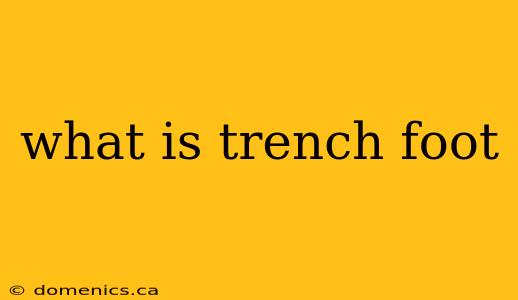 what is trench foot