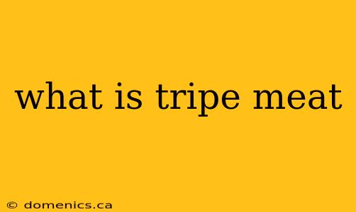 what is tripe meat