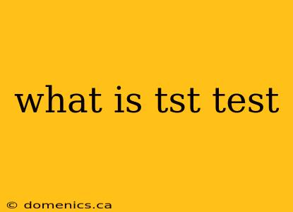 what is tst test