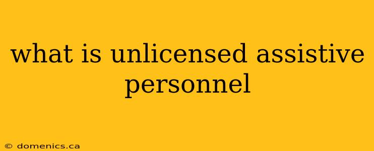 what is unlicensed assistive personnel