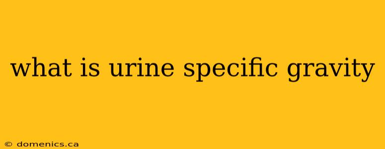 what is urine specific gravity