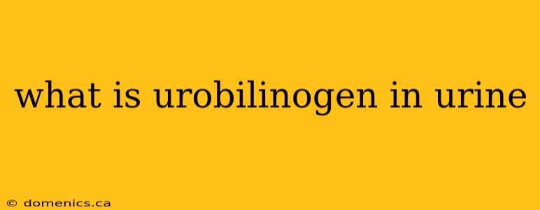 what is urobilinogen in urine