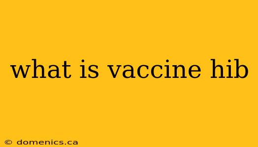 what is vaccine hib