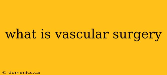 what is vascular surgery