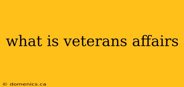 what is veterans affairs