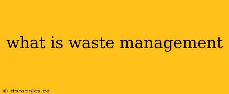 what is waste management