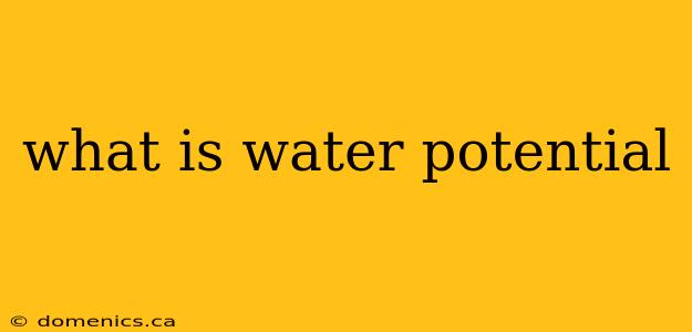 what is water potential