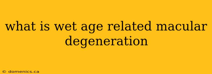 what is wet age related macular degeneration