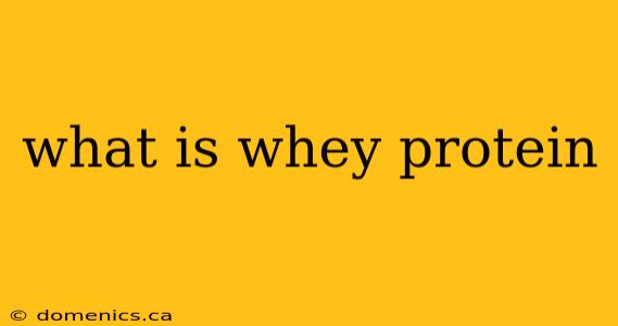 what is whey protein