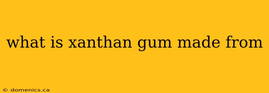 what is xanthan gum made from