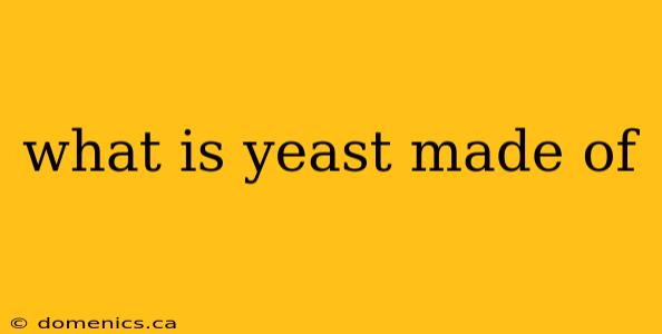 what is yeast made of