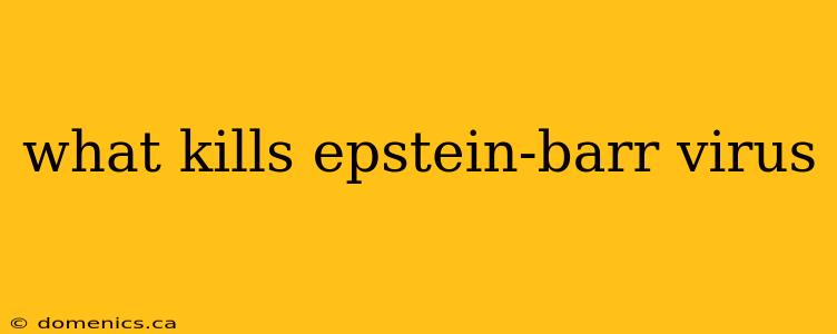 what kills epstein-barr virus