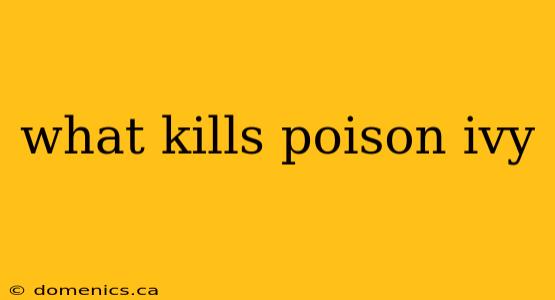 what kills poison ivy