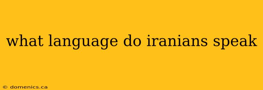 what language do iranians speak