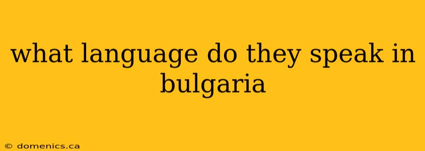 what language do they speak in bulgaria