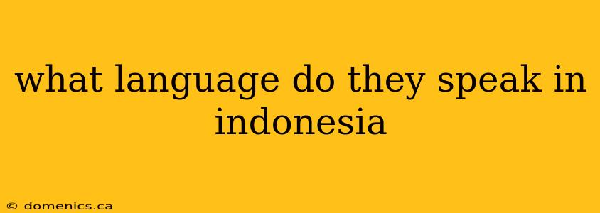 what language do they speak in indonesia