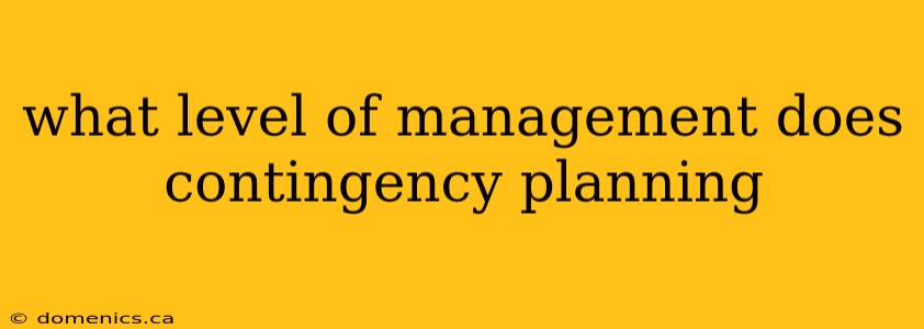 what level of management does contingency planning