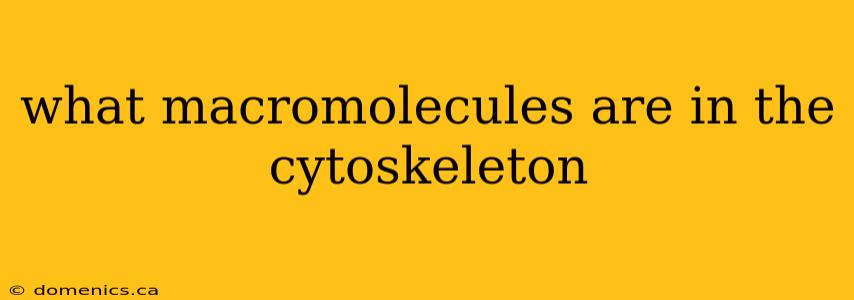 what macromolecules are in the cytoskeleton