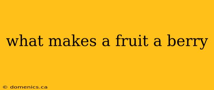 what makes a fruit a berry