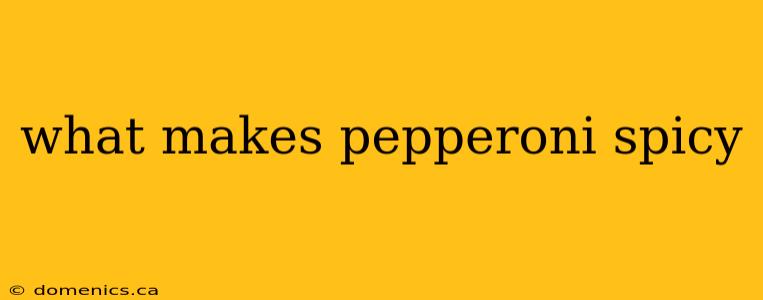 what makes pepperoni spicy