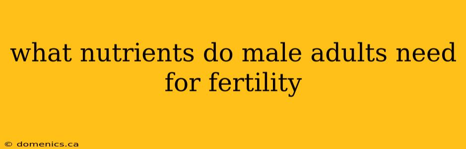 what nutrients do male adults need for fertility