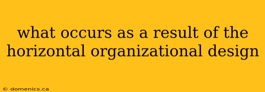 what occurs as a result of the horizontal organizational design