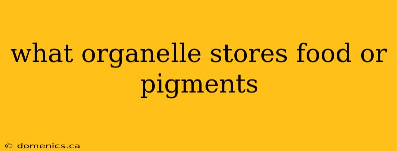 what organelle stores food or pigments