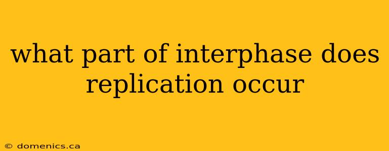 what part of interphase does replication occur