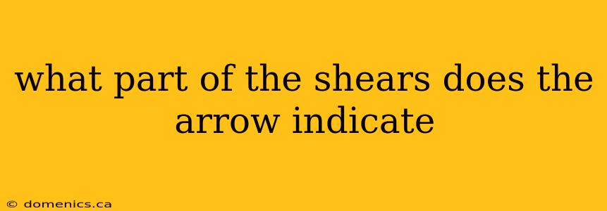 what part of the shears does the arrow indicate