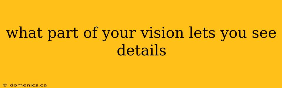 what part of your vision lets you see details