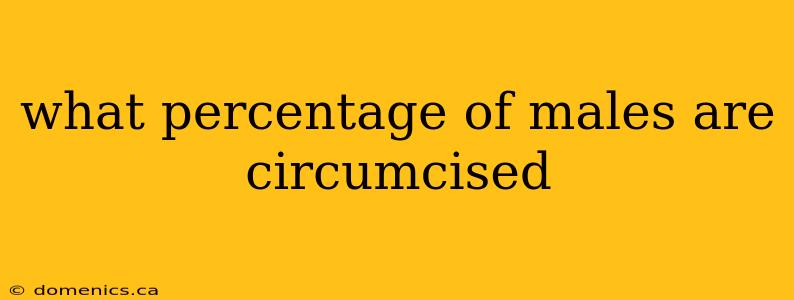 what percentage of males are circumcised