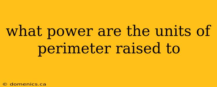 what power are the units of perimeter raised to