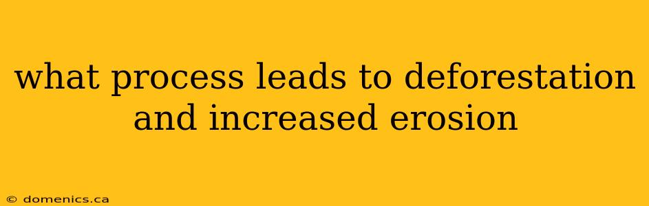 what process leads to deforestation and increased erosion