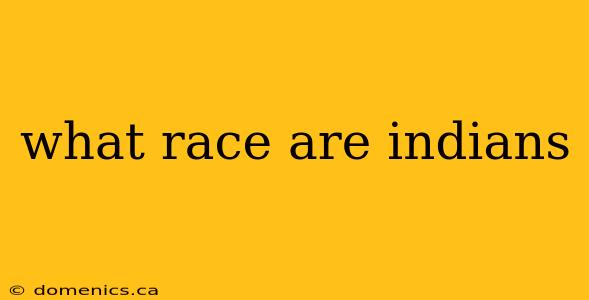 what race are indians